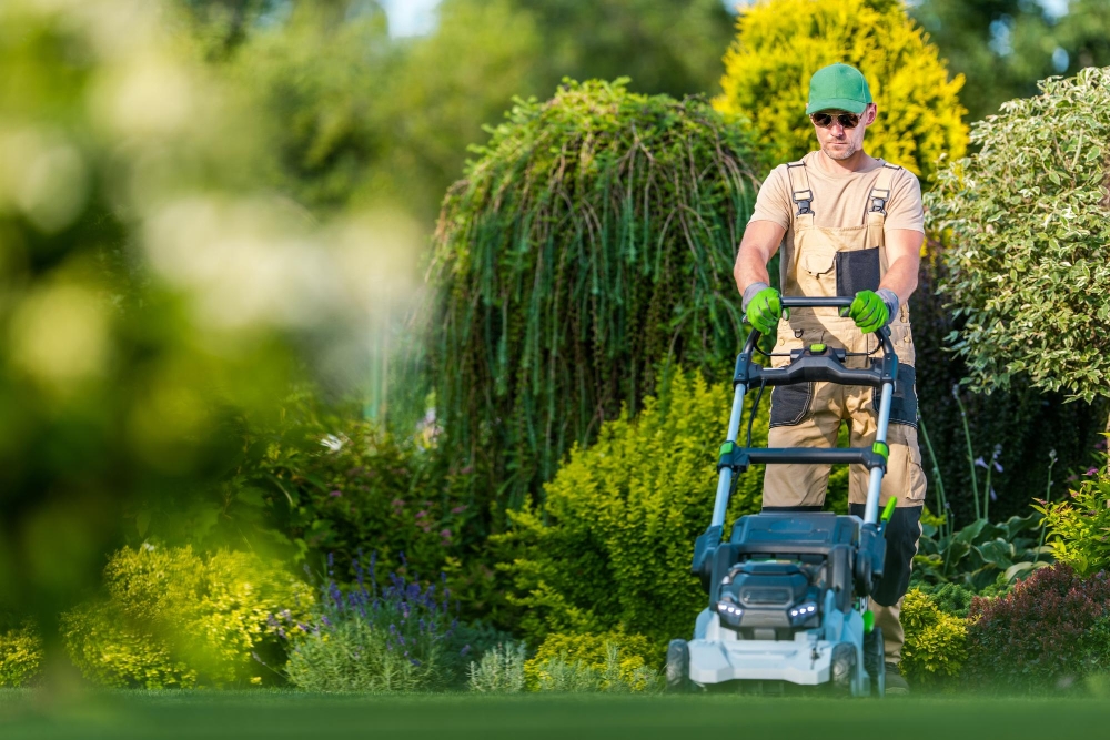 Gardening & Landscaping Services