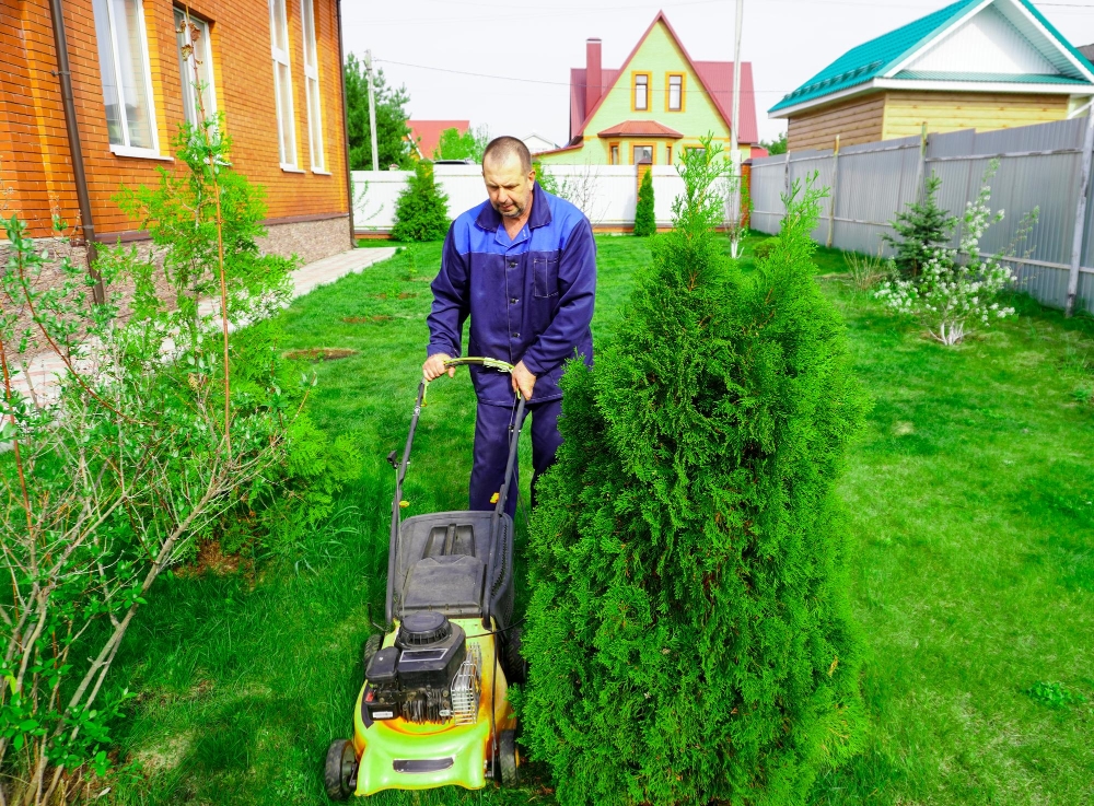 Gardening & Landscaping Services