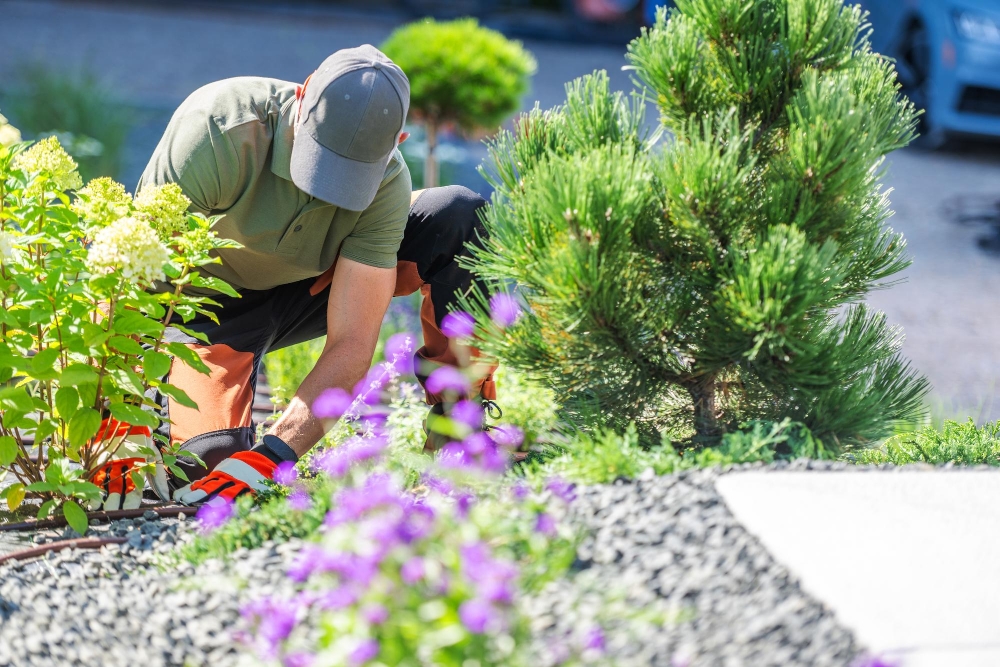 Gardening & Landscaping Services