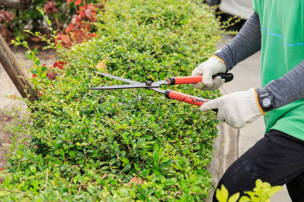 Gardening & Landscaping Services